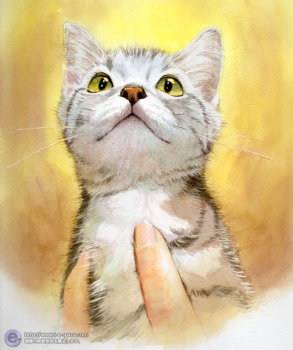 アメリカンショートヘアー 小次郎くん ご注文画 猫と家族とペットと目のイラスト イラストレーター検索 Illustrator E Space