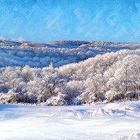 雪ノ桜