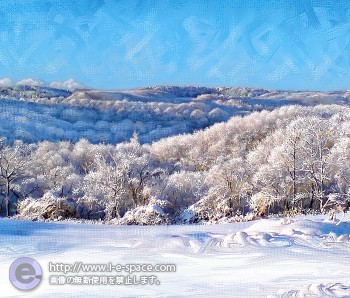 雪ノ桜