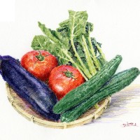 夏野菜、色鉛筆画