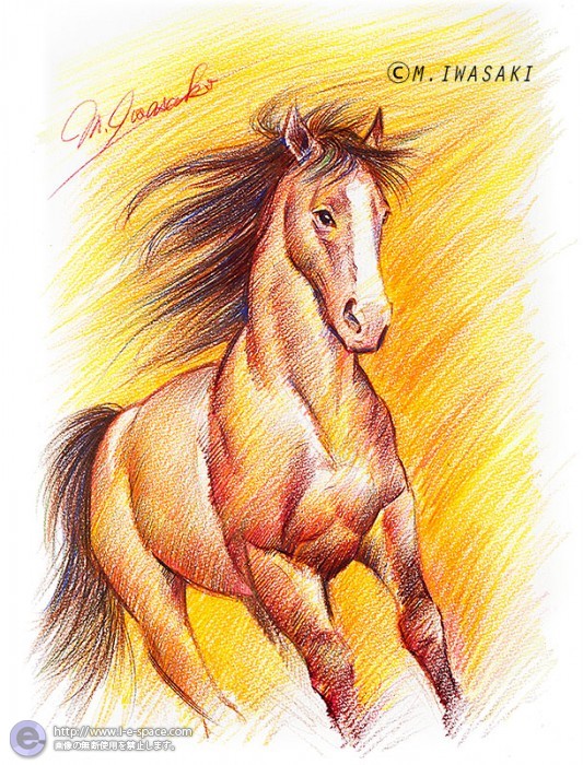 色鉛筆画 動物 馬と動物と鉛筆画とウマと色鉛筆のイラスト イラストレーター検索 Illustrator E Space