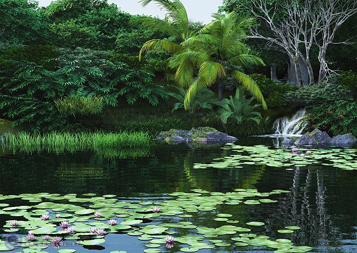 睡蓮の池 風景と3dcgとリアルイラストと池と涼しいのイラスト イラストレーター検索 Illustrator E Space