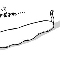 なめねこ