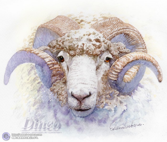 ひつじ 動物と羊と水彩と優しいと未のイラスト イラストレーター検索 Illustrator E Space