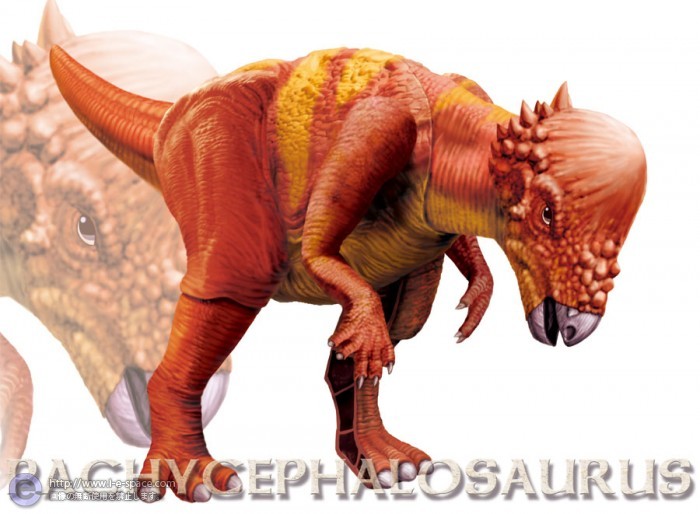 Bandai ワイルドエッグ シリーズ 第２段 パキケファロサウルス プレゼントとおもちゃと恐竜とかっこいいと組み立てのイラスト イラストレーター検索 Illustrator E Space