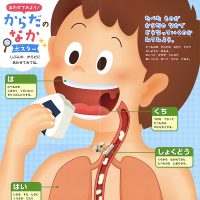 からだのなかポスター（上部）