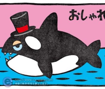 海のおしゃれ番長