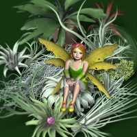 FLOWER FAIRIES-A