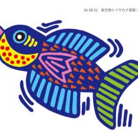 新生物トリサカナ発見