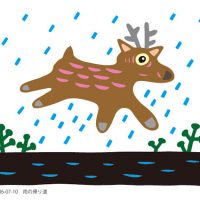 雨の帰り道