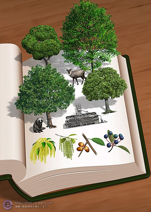 森の図鑑 3dcgとリアルイラストと雑誌広告と森の図鑑と森の植物のイラスト イラストレーター検索 Illustrator E Space
