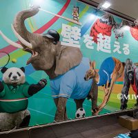 動物イラスト・サイボウズイベント会場・ 動物リアルイラスト展示・幕張メッセ3