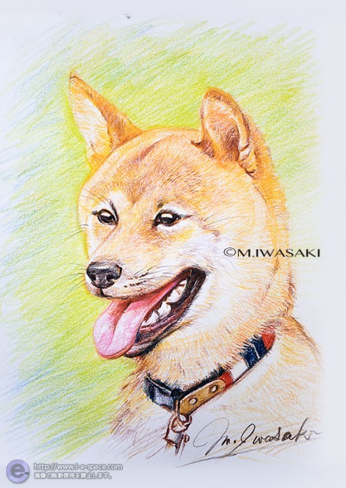 最も共有された 柴犬 リアル 簡単 犬 イラスト