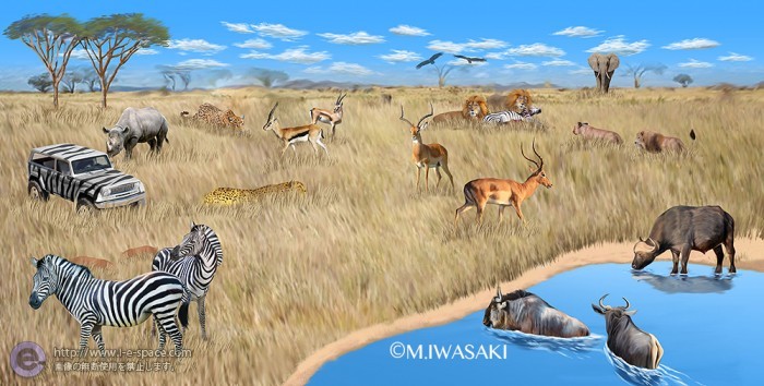 動物リアルイラスト アフリカ草原 シマウマと動物と動物リアルイラストと草原とアフリカのイラスト イラストレーター検索 Illustrator E Space