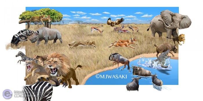 動物リアルイラスト アフリカ草原 ライオンと動物リアルイラストとアフリカとサイとアフリカゾウのイラスト イラストレーター検索 Illustrator E Space