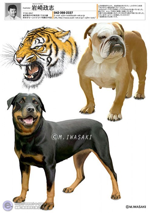 動物リアルイラスト 犬 犬と動物と動物リアルイラストとトラとブルドックのイラスト イラストレーター検索 Illustrator E Space