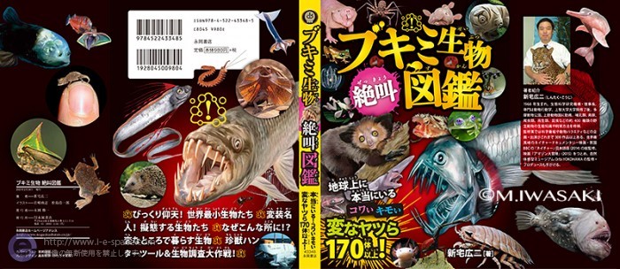 ブキミ生物図鑑 深海魚 魚 リアルイラストとリアルと危険生物と不気味生物と深海魚のイラスト イラストレーター検索 Illustrator E Space