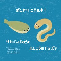 ボンヤリ ニテルネ