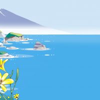ゆうすげの咲く岬