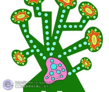 植物のしくみ