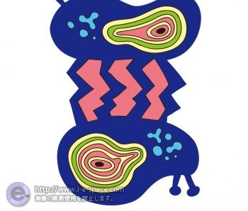 双子