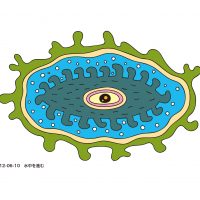 水中を進む