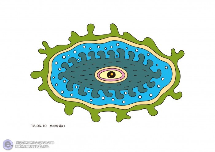水中を進む