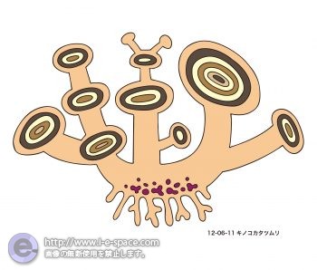 キノコカタツムリ