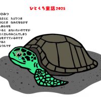 ウミガメ