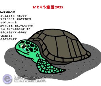 ウミガメ