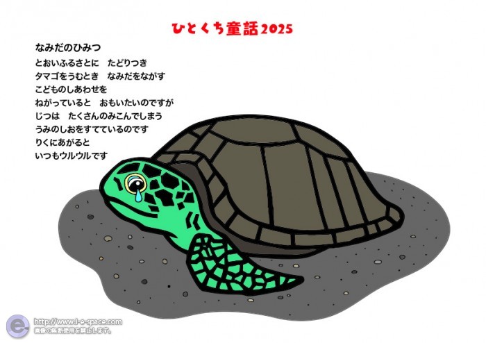 ウミガメ