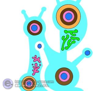 カタツムリの夫婦