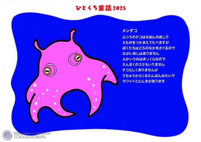 11月メンダコ