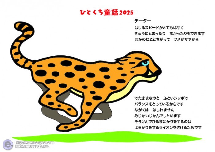 9月チーター