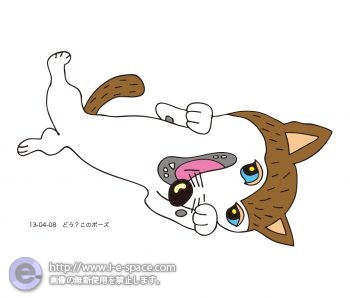 どう、このポーズ？