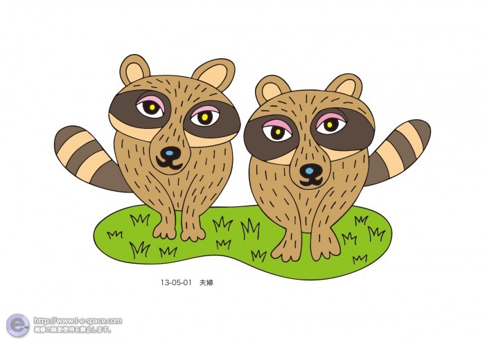 夫婦　(タヌキ)