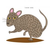 忍び足　ネズミ