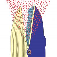 食事風景　クジラ