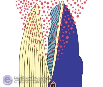 食事風景 クジラ