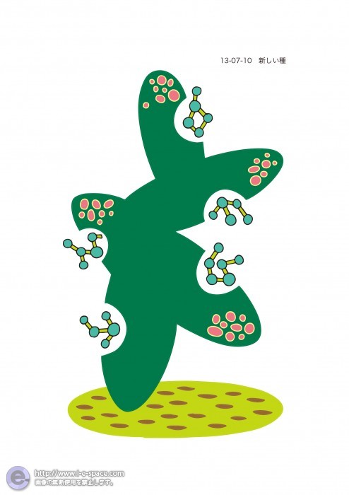 新しい種