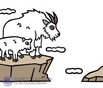 崖っぷちのシロイワヤギ
