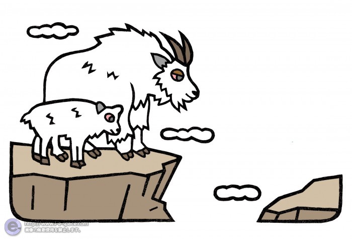 崖っぷちのシロイワヤギ