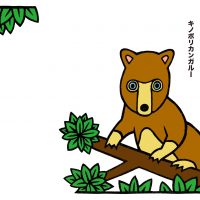 キノボリカンガルー