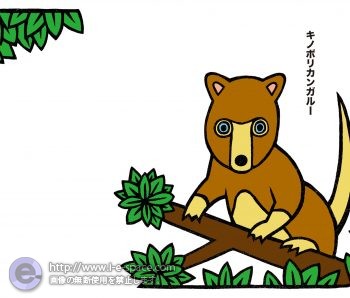 キノボリカンガルー