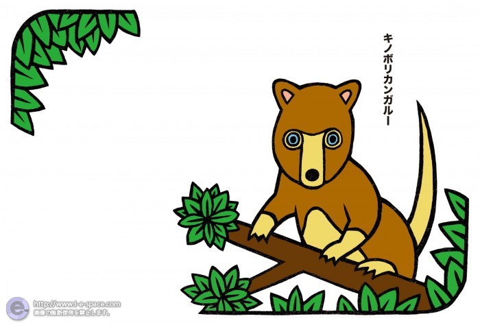キノボリカンガルー