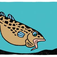 タラふく食べる