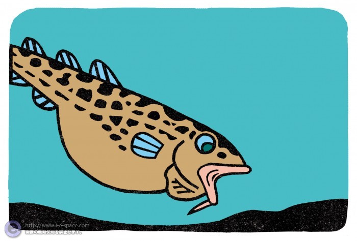 タラふく食べる