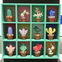 サボテンコレクション